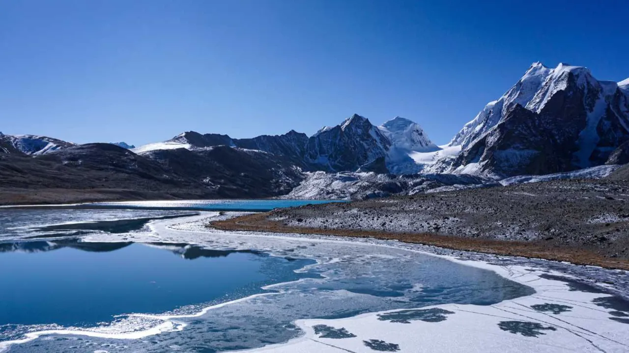 Copy of Copy of Local Samosa FI - 5