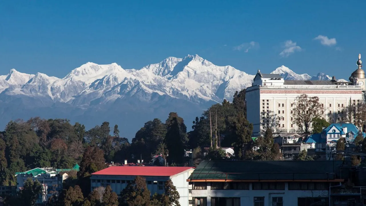 Copy of Copy of Local Samosa FI - 8