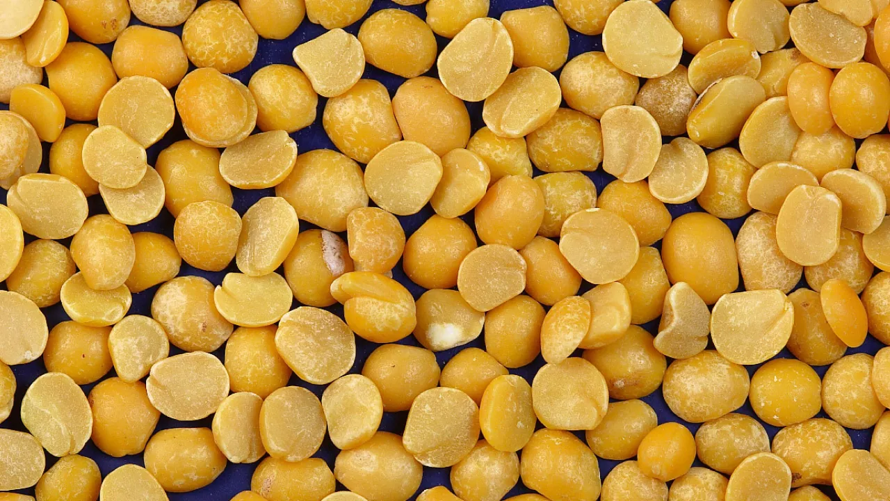 Copy of Local Samosa FI - 1