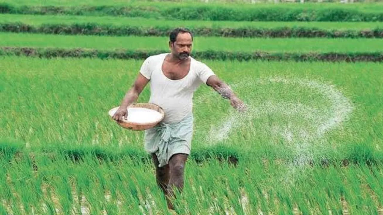 Copy of Local Samosa FI - 4