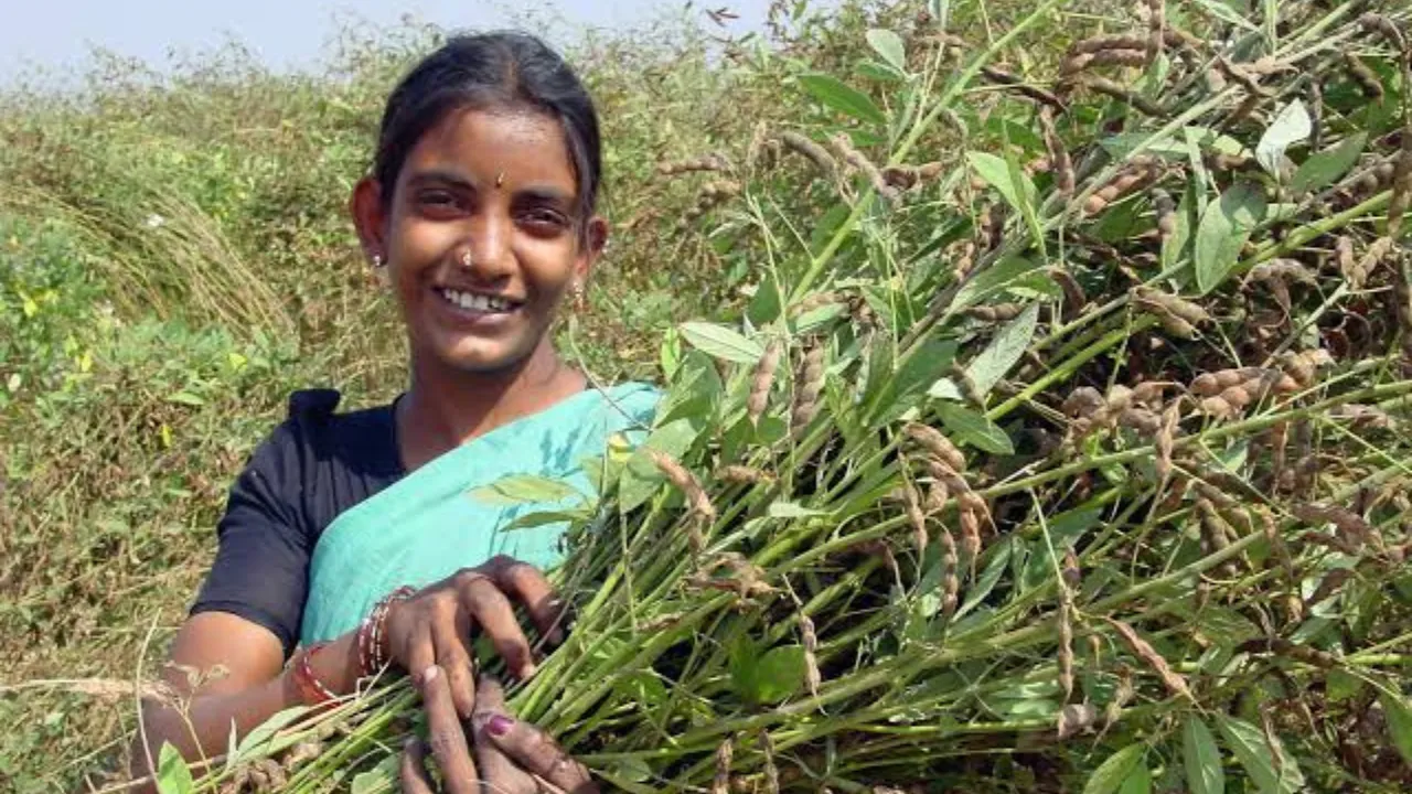 Copy of Local Samosa FI - 4