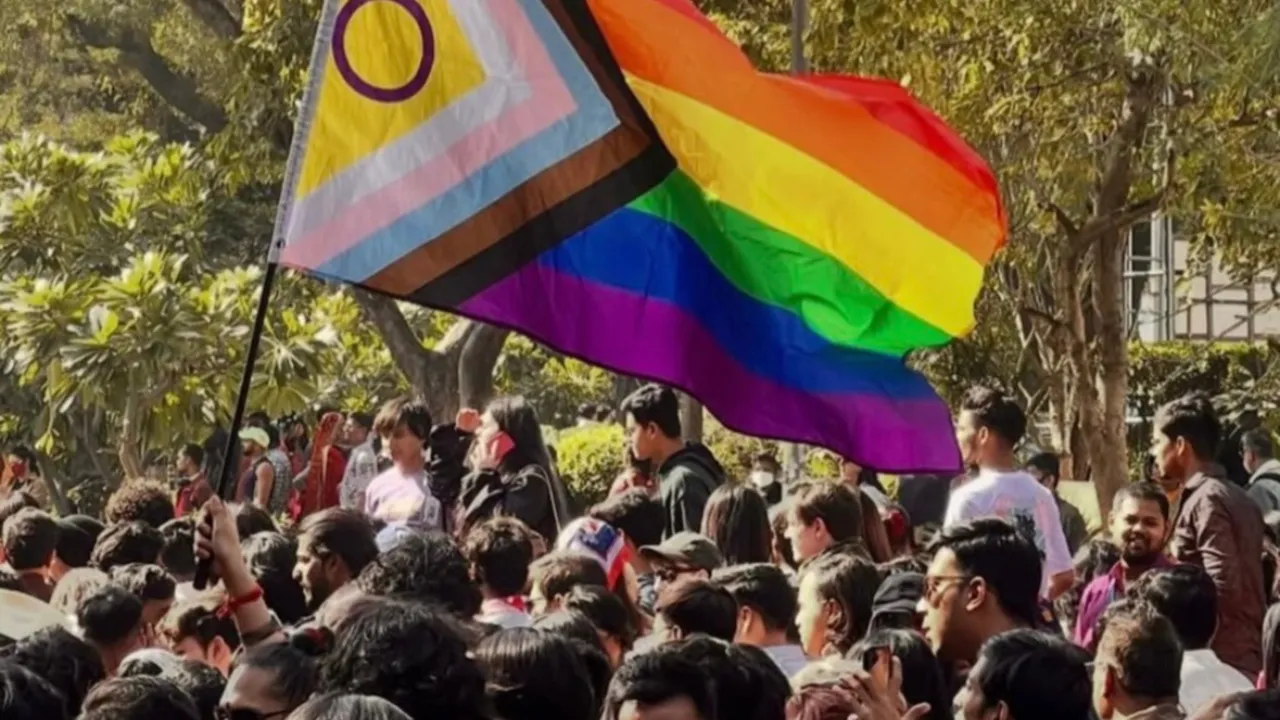 Copy of Local Samosa FI - 5