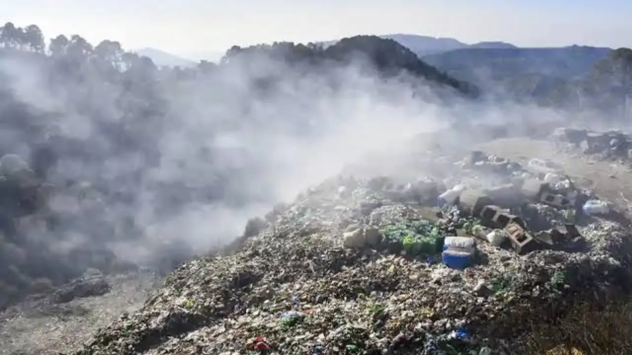 Copy of Local Samosa FI - 8