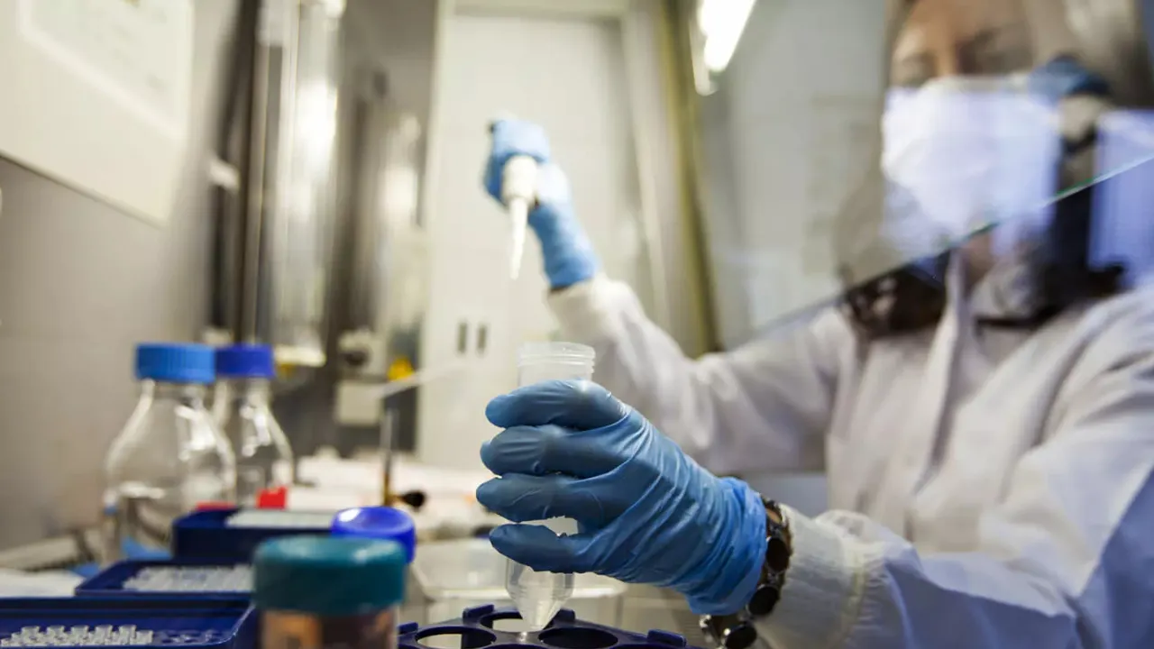 Copy of Local Samosa FI - 4