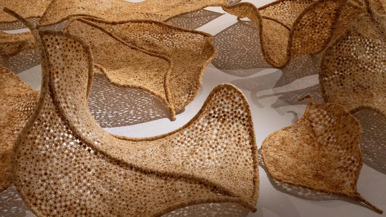 Copy of Local Samosa FI - 1 (3)