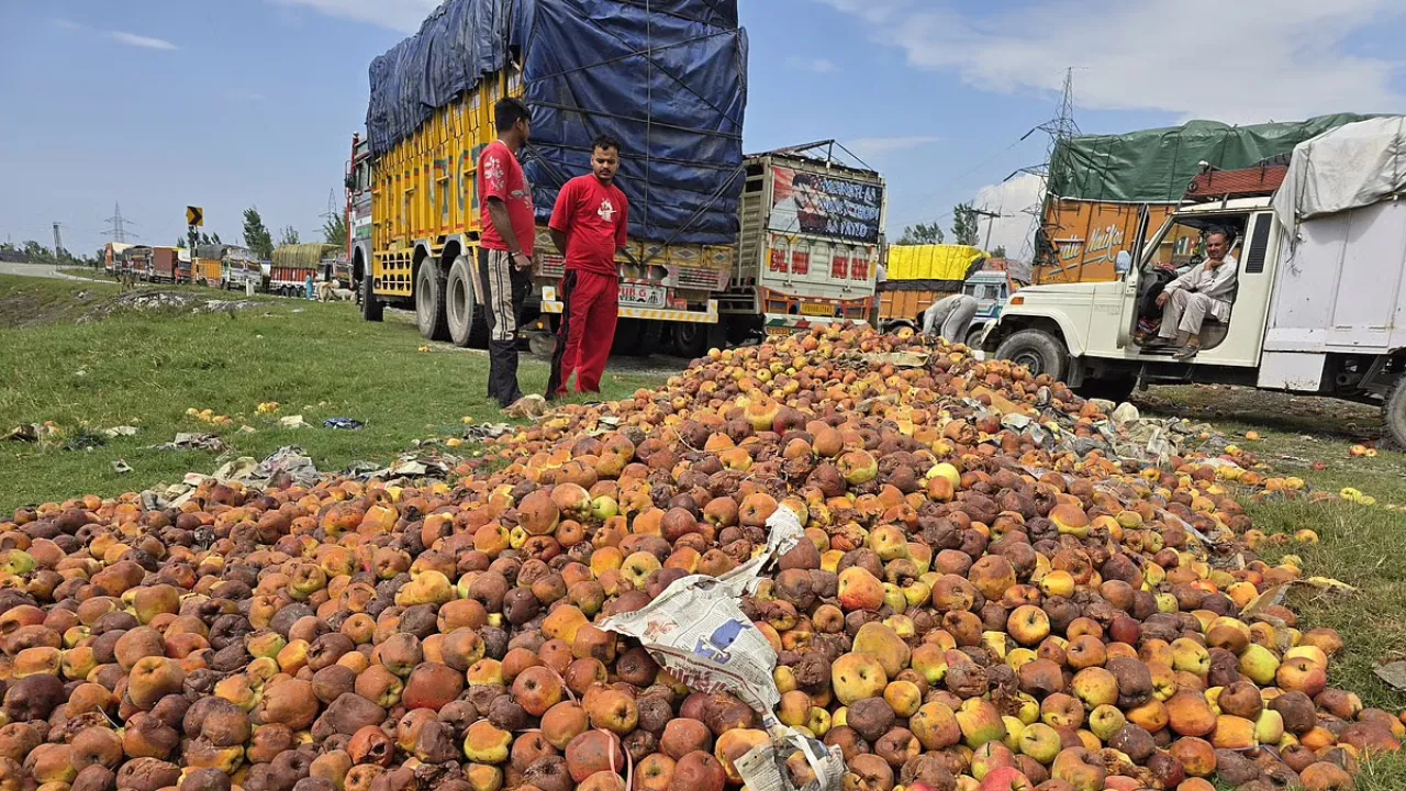 Copy of Local Samosa FI - 5