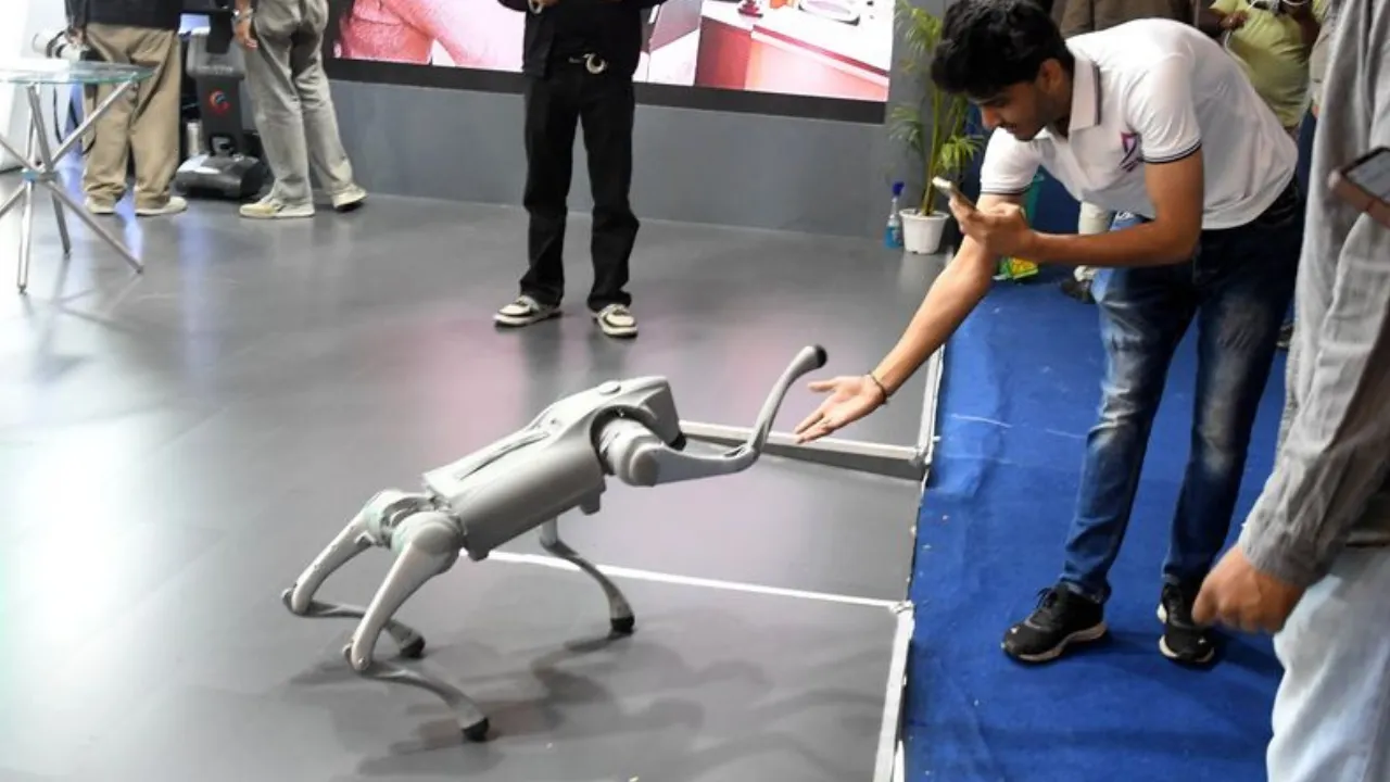 Copy of Local Samosa FI