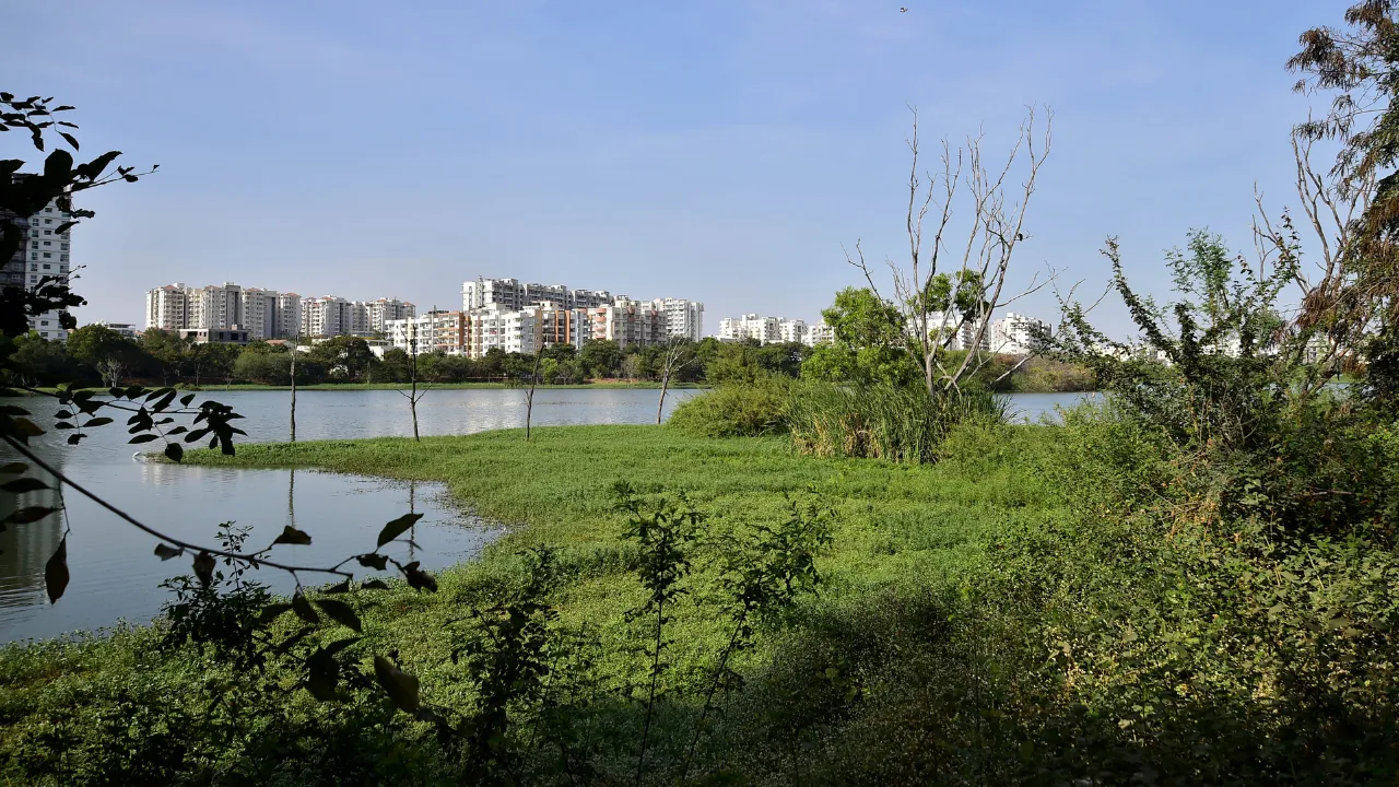 Copy of Local Samosa FI - 5