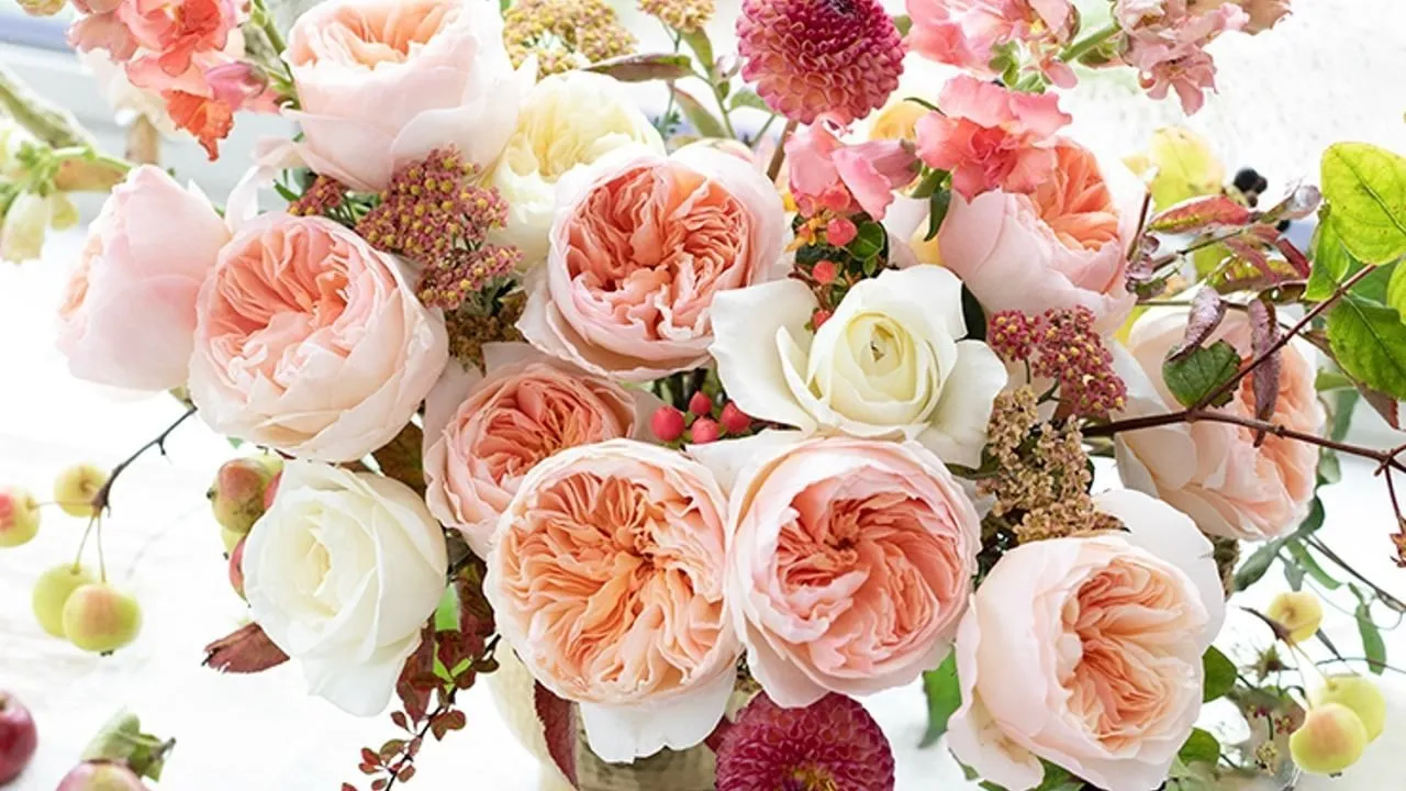 Rose-day-2022-history-of-worlds