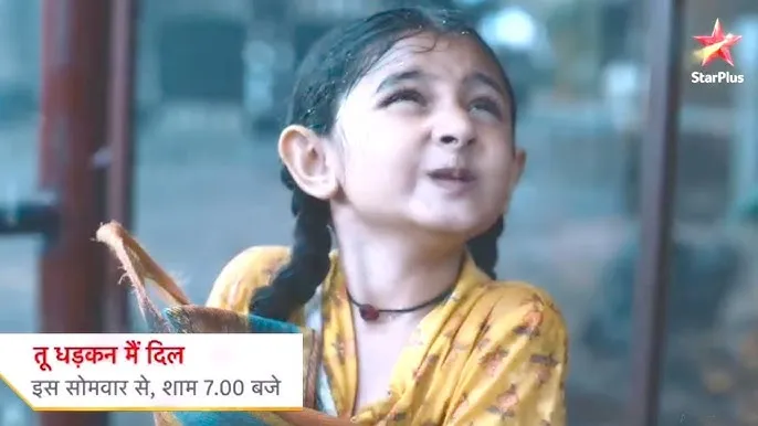 Star Plus new show Tu Dhadkan Main Dil