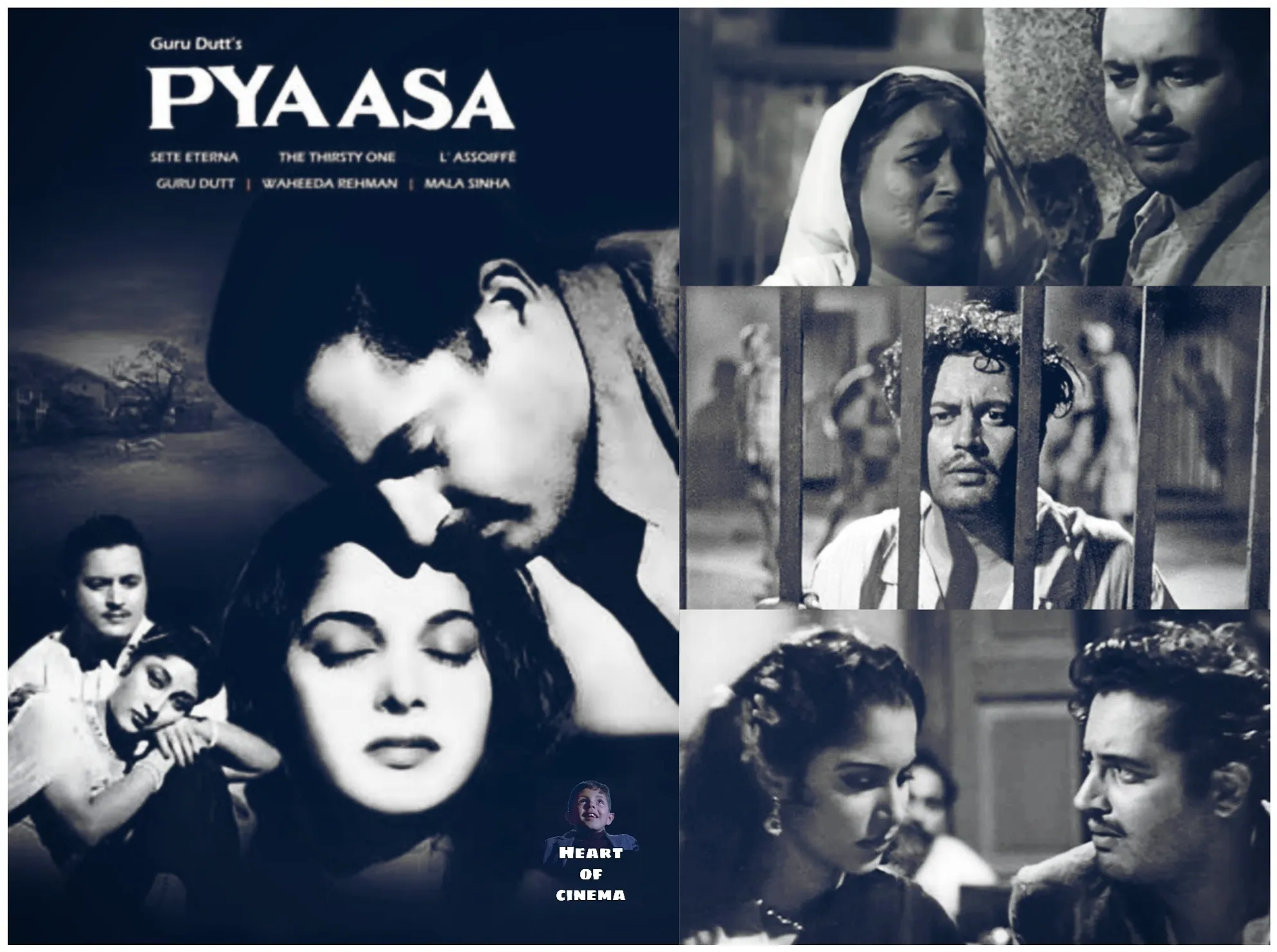pyasaa