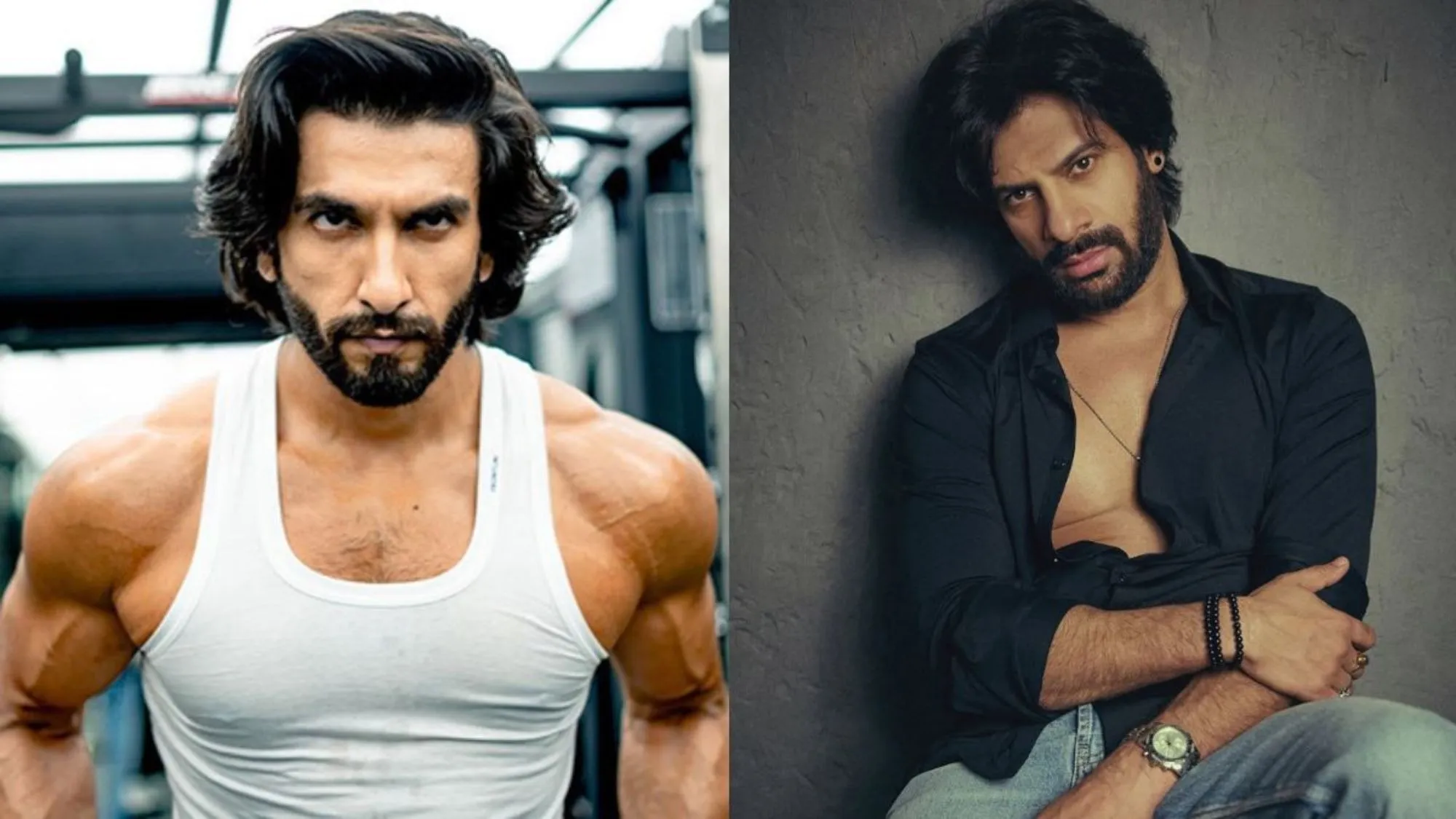 karan veer mehra