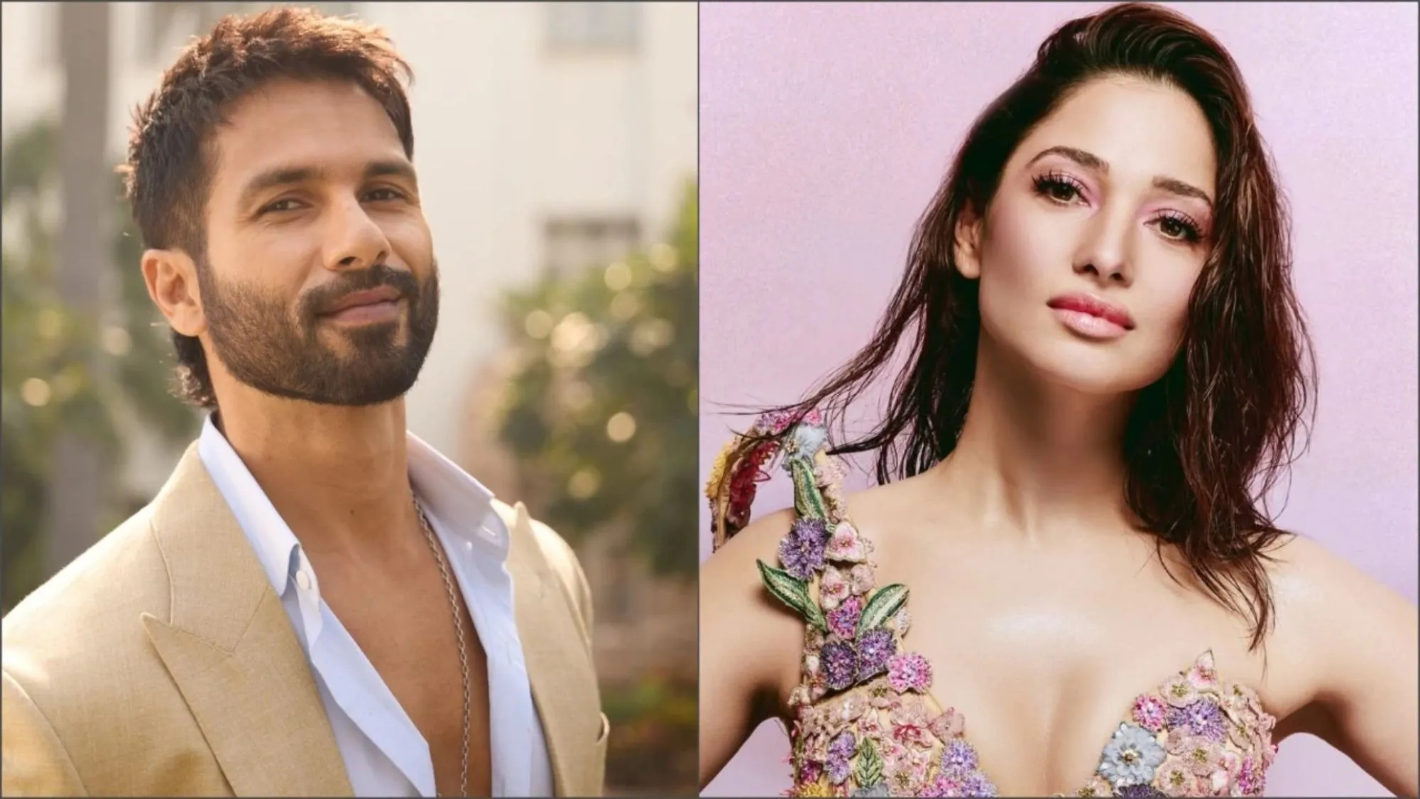 shahid kapoor and tamannaah bhatia