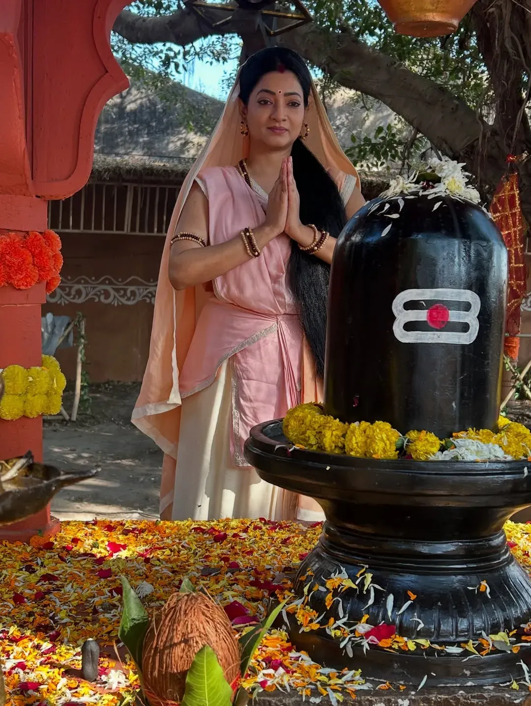 Kaamdhenu Gau Mata serial pictures (1)