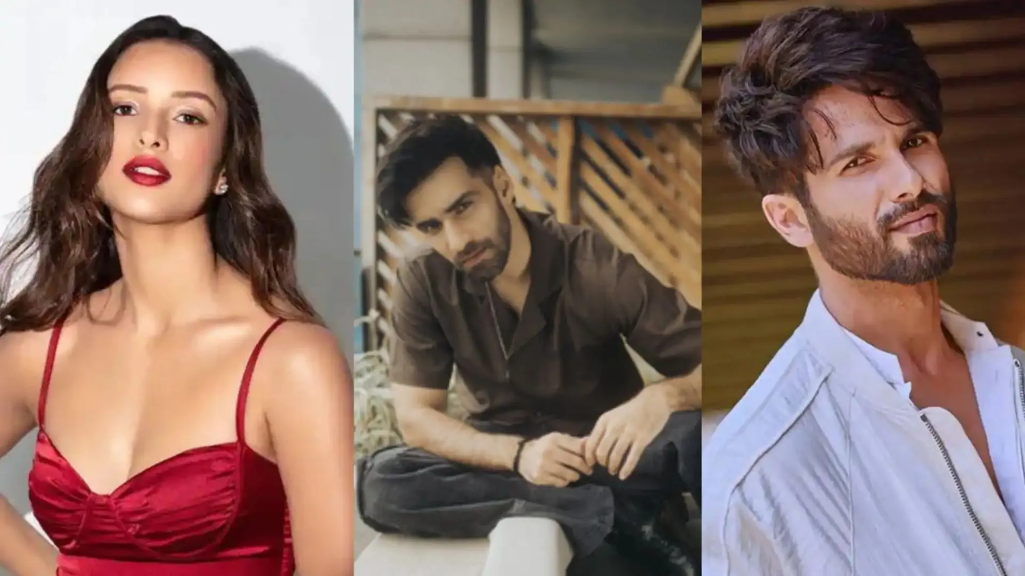 Shahid Kapoor and Avinash Tiwari