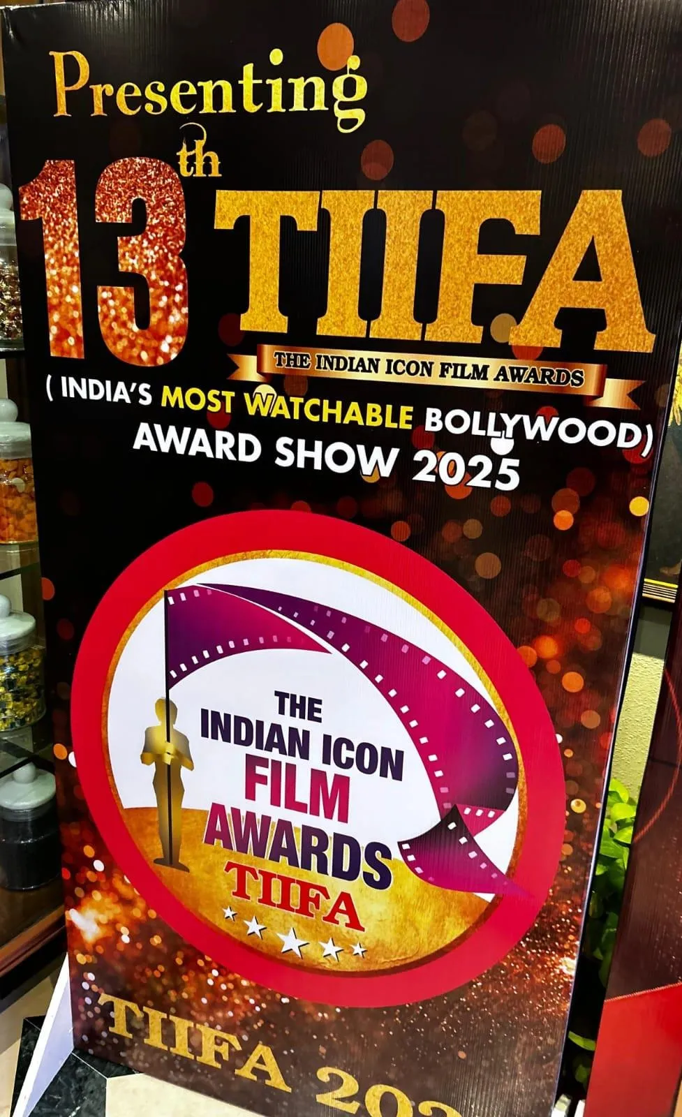 13th TIIFA Awards 2025 (2)