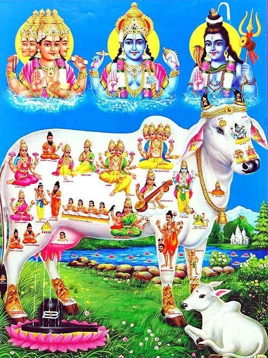 kamadhenu and ramayan