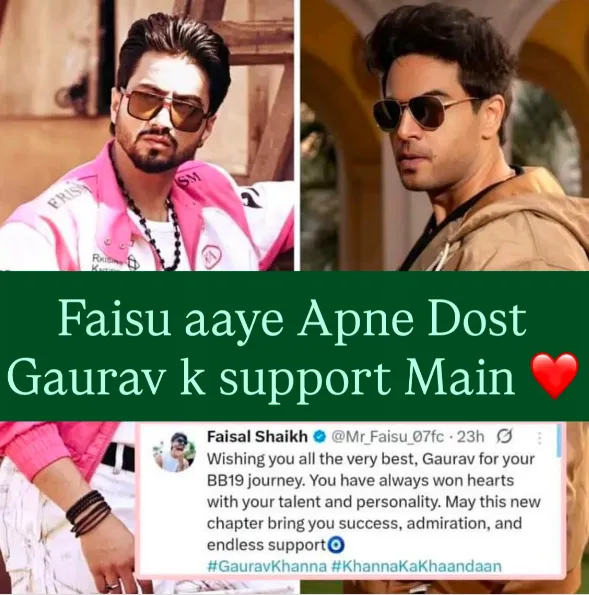 Faisal Shaikh gaurav khanna