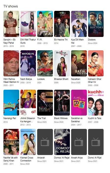 aamir ali tv shows