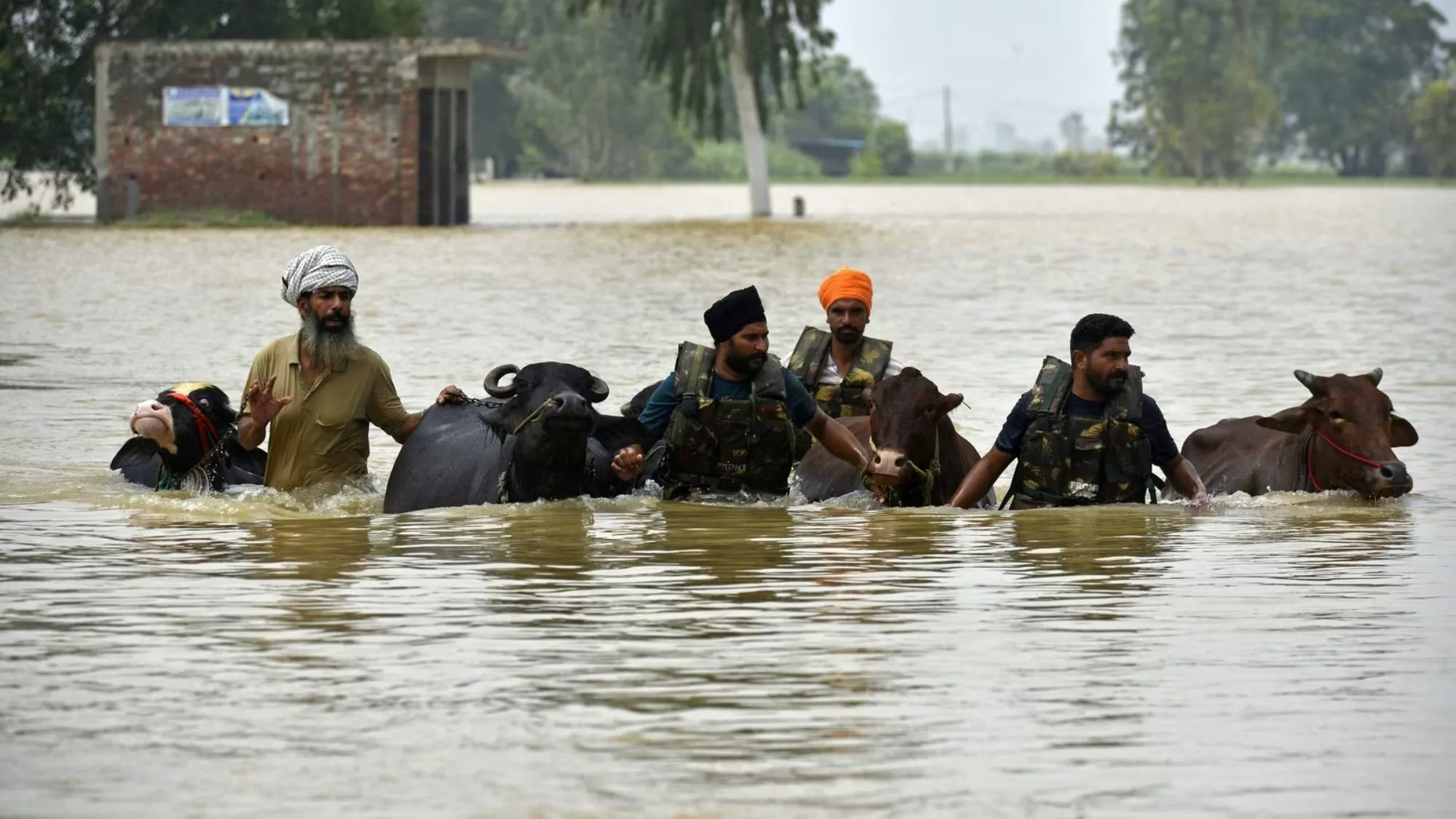 Punjab flood