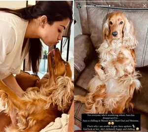 RASHMIKA