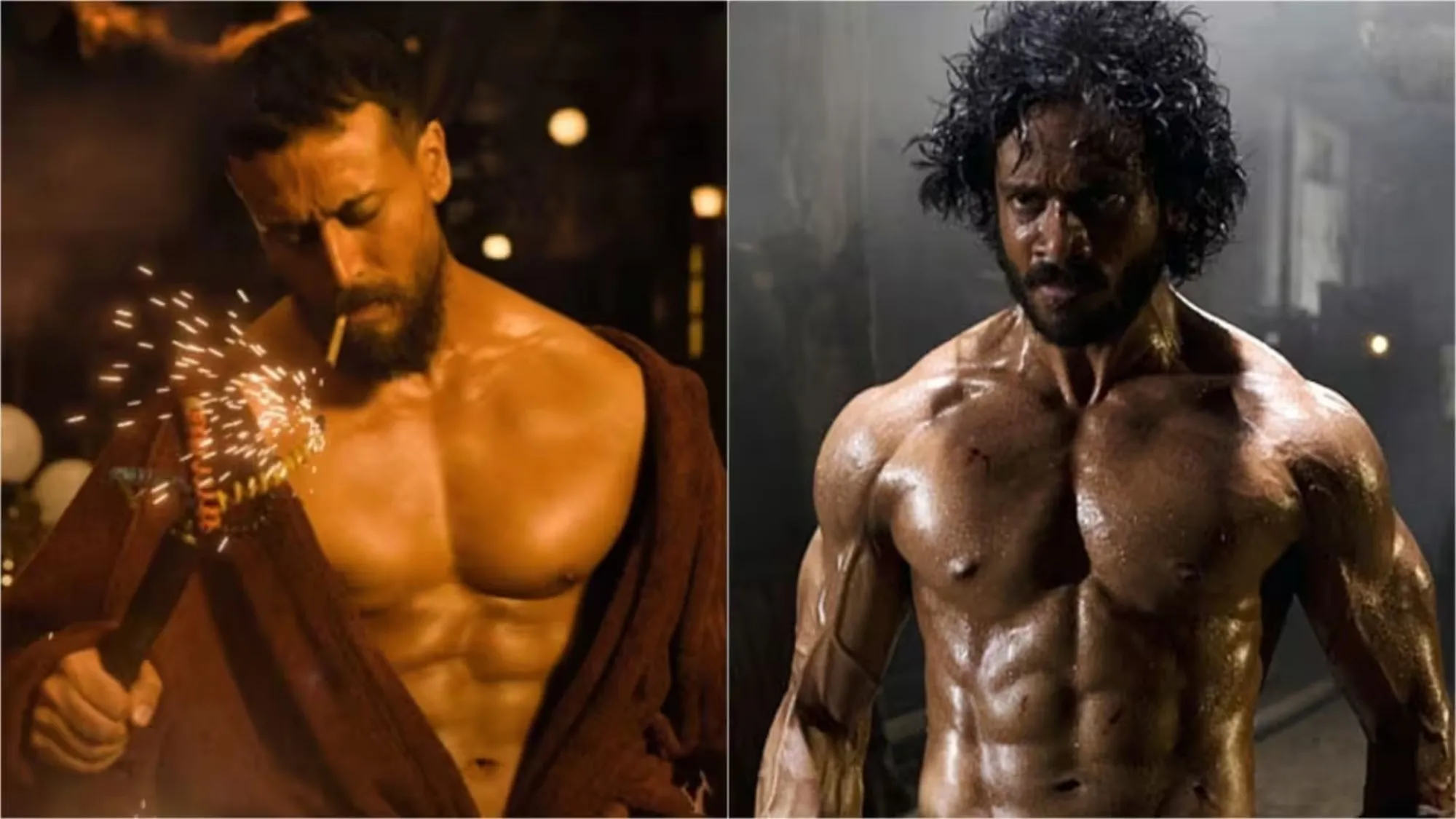 baaghi 4 is remake of which movie