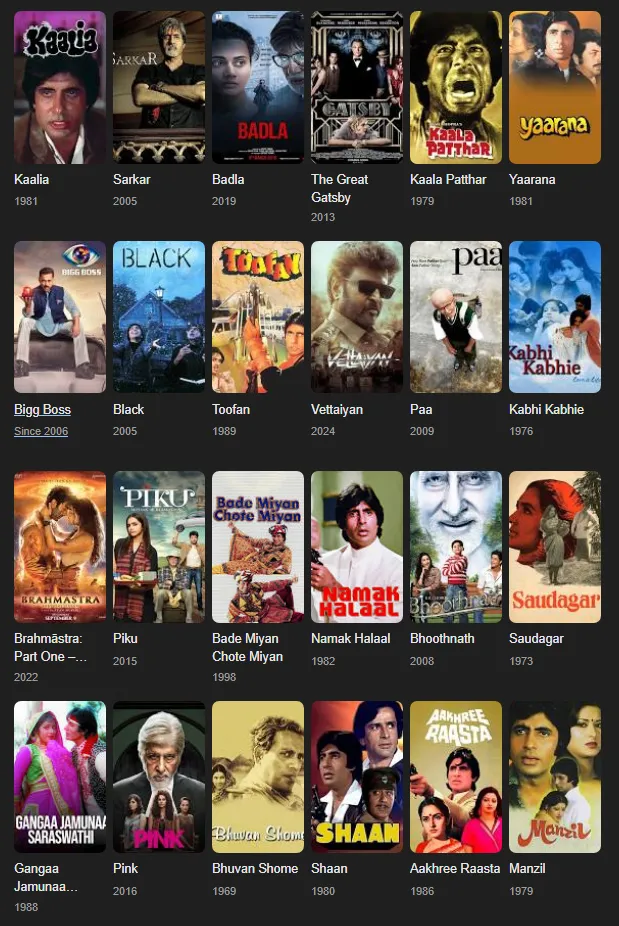 amitabh bachchan movies and tv shows (1)