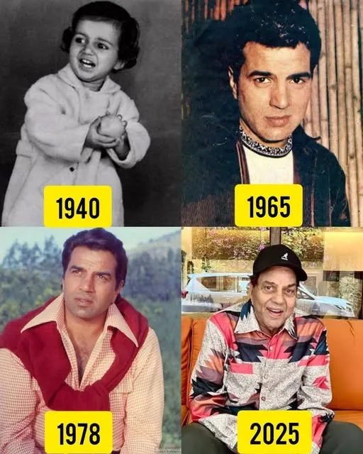 522649910_1202979544966325_8337634596838353123_n