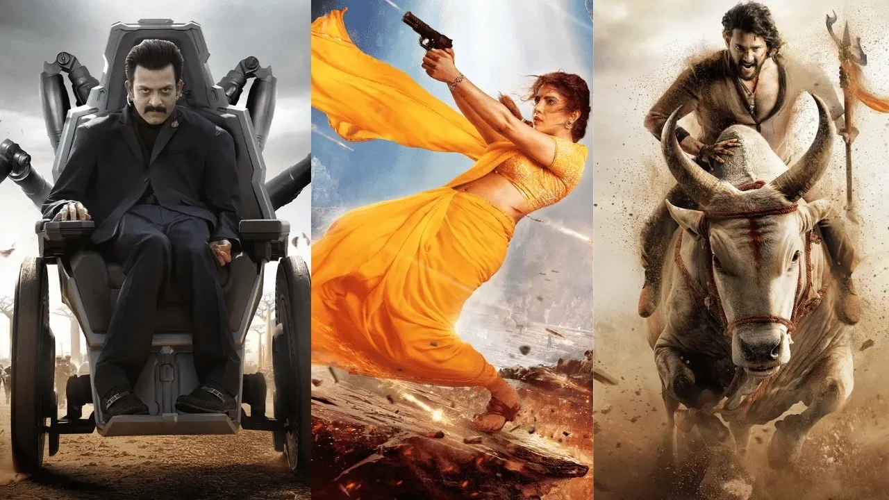 WhatsApp Image 2026-01-08 at 12.14.11