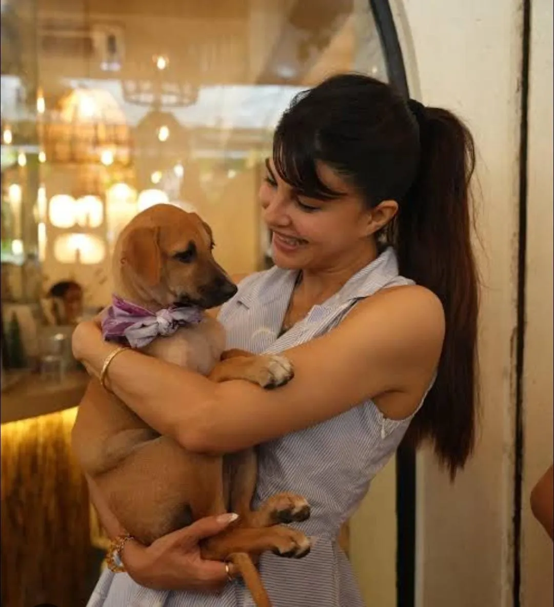 Jacqueline Fernandez positivity