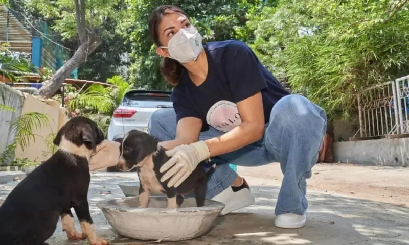 Jacqueline Fernandez positivity