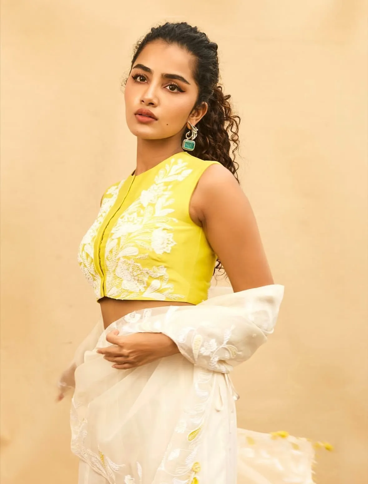Anupama Parameswaran in SKG Entertainment and Benchmark Storytellers next grand feature film (2)