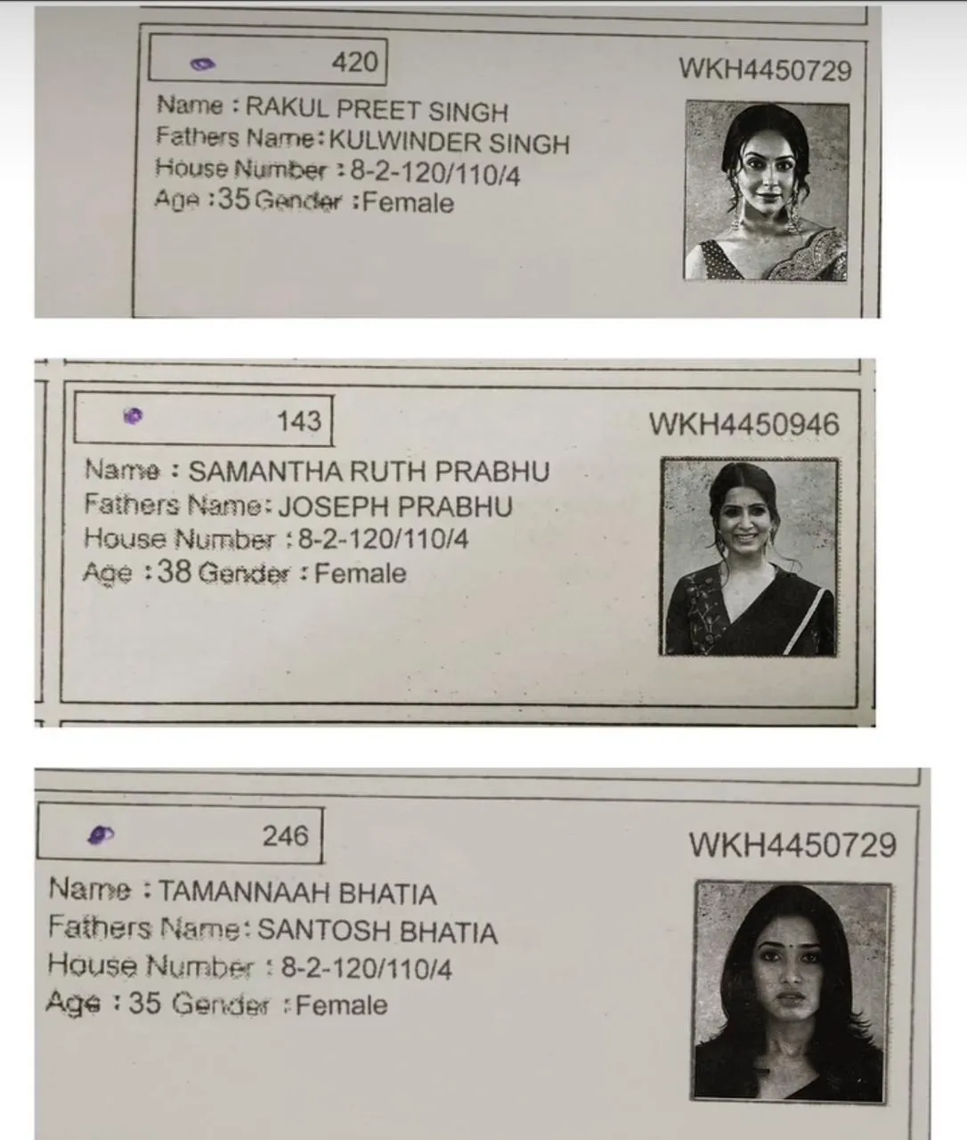 Fake Voter ID