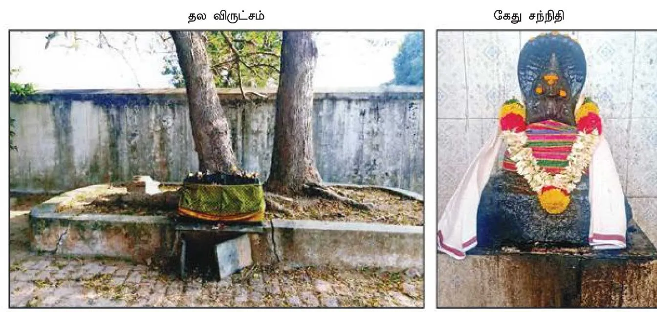 semkudi2