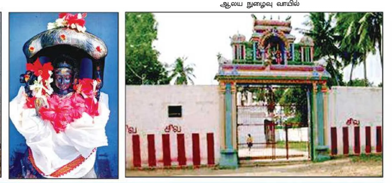 semkudi3