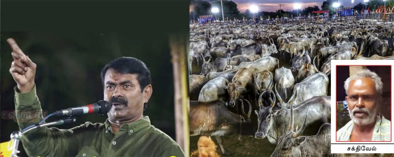 seeman1