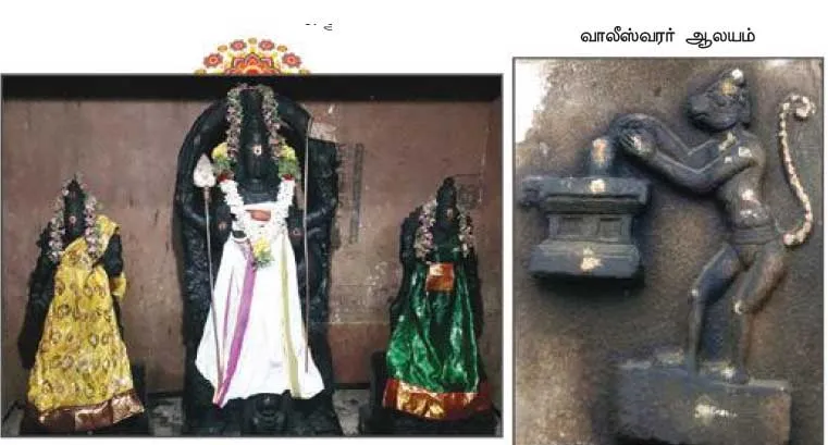 alayam1