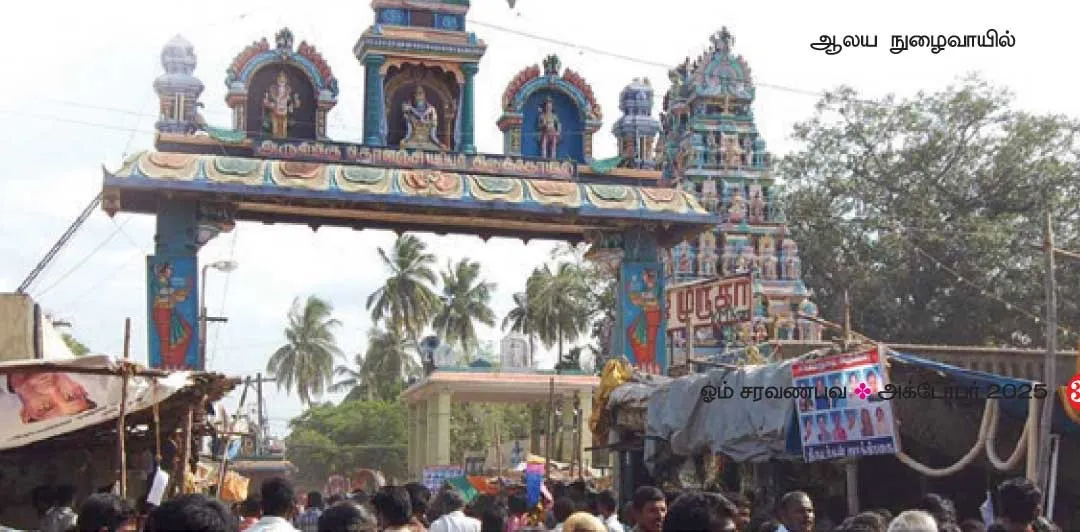 kolaynchiappar1