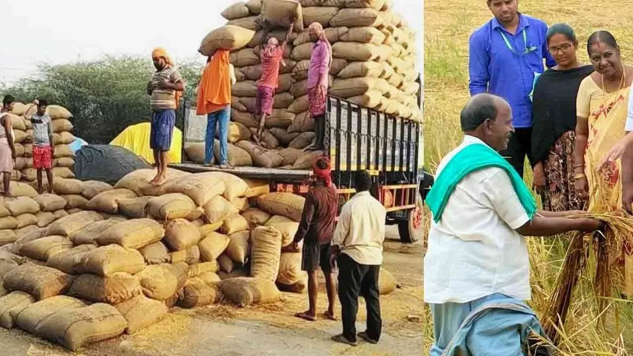 paddy-lorry-stock-farmer