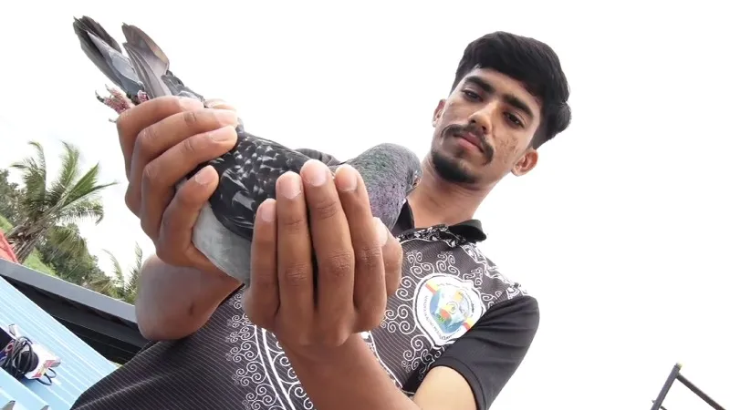 mandya dove(3)