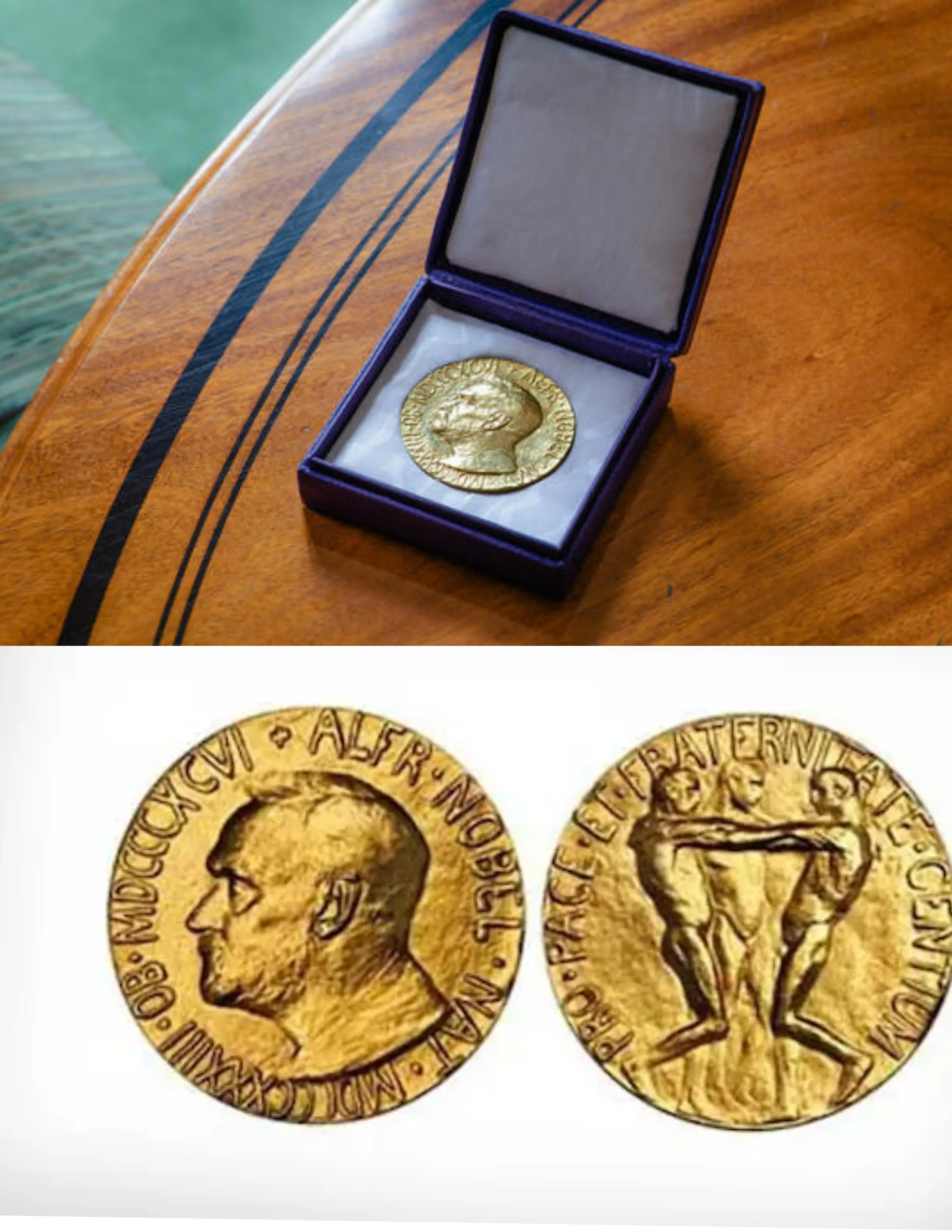 Nobel peace prize shield