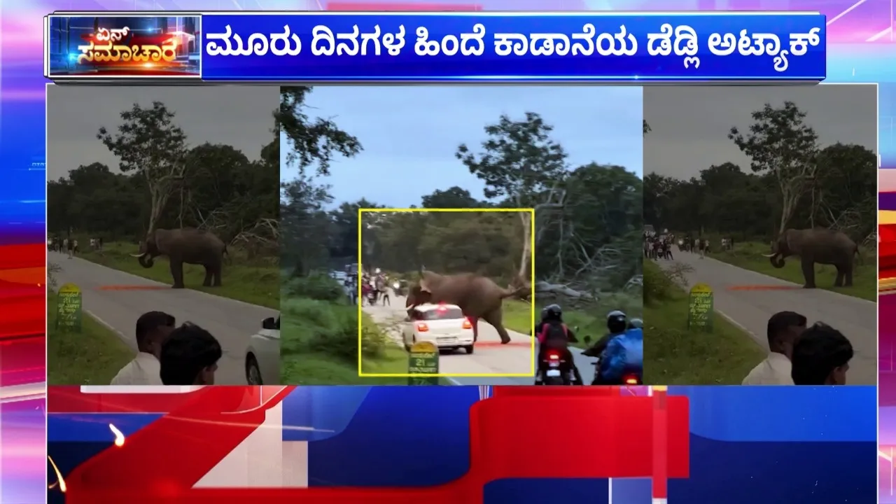 leopard safari attack (1)