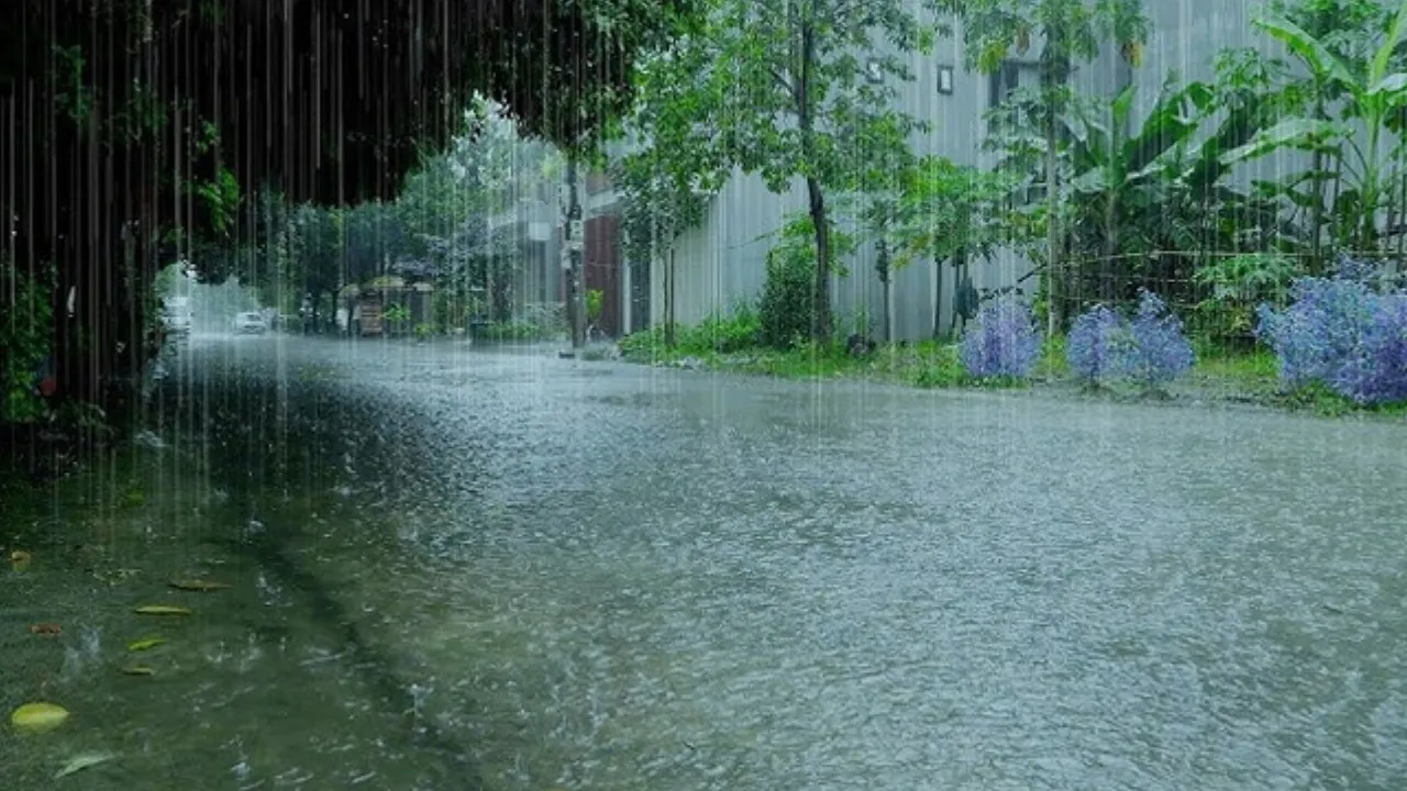 CKM_RAIN