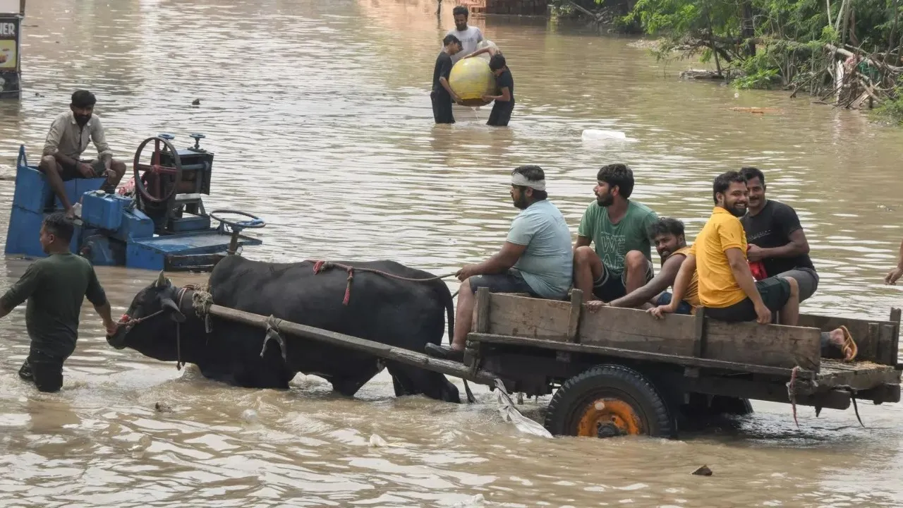 PUNJAB_RAINS
