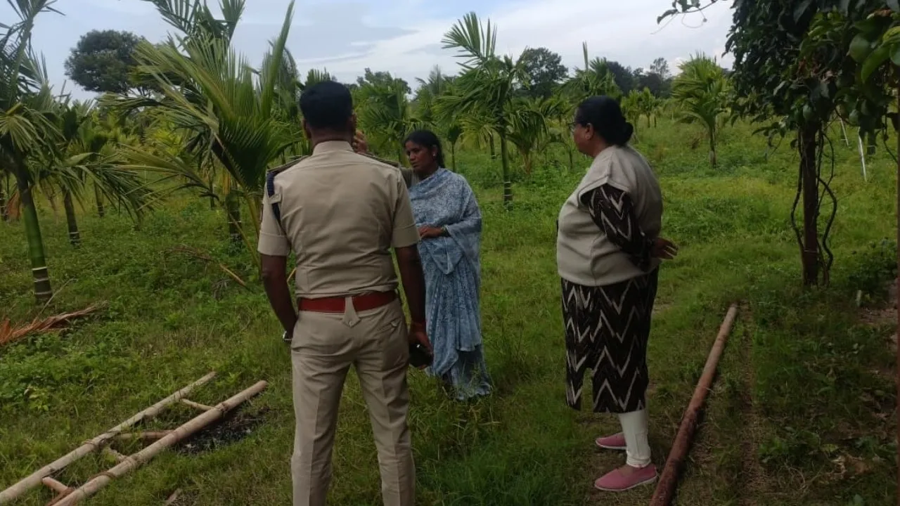 MYS_WIFE_ARREST