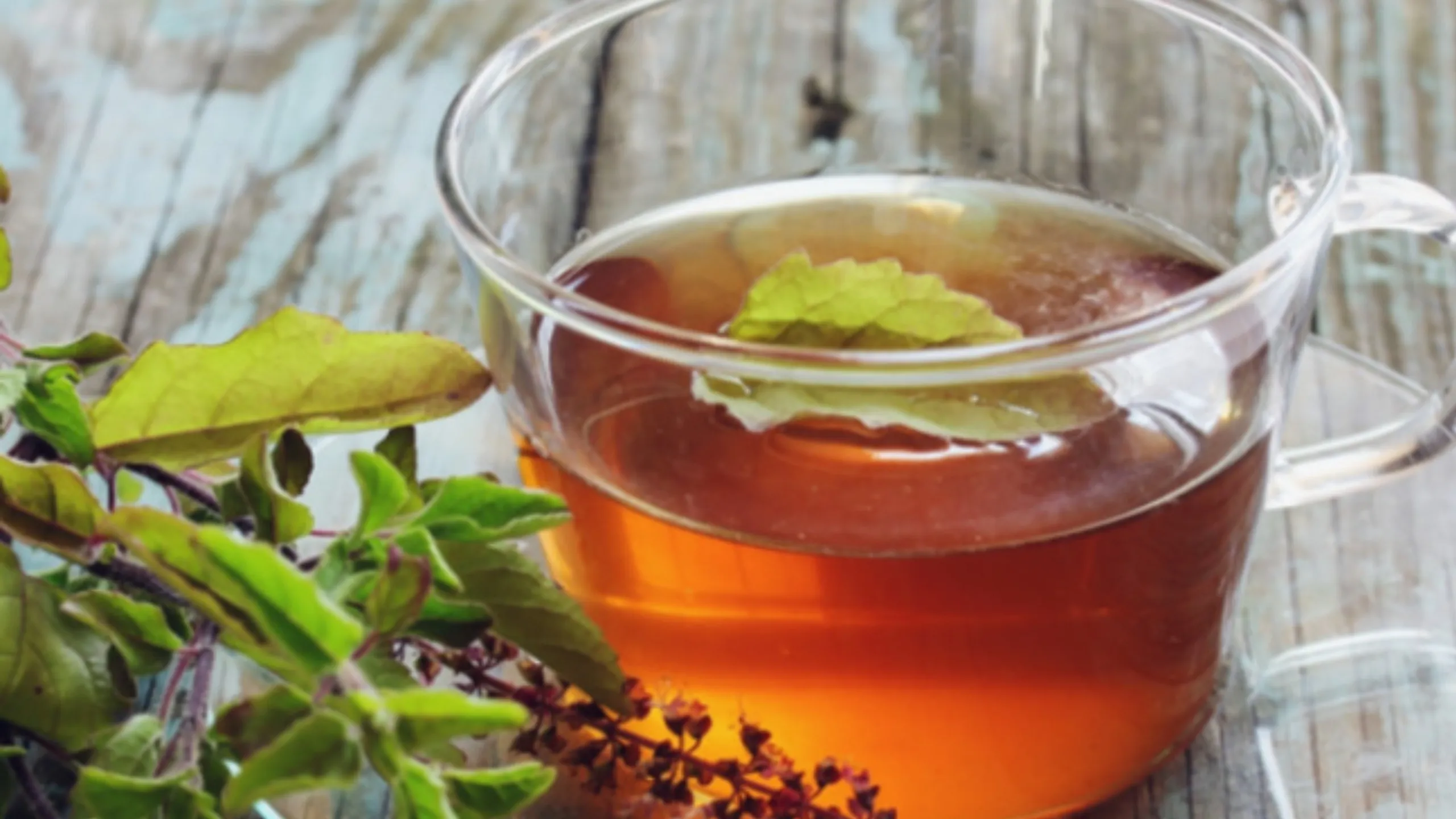 thulasi tea