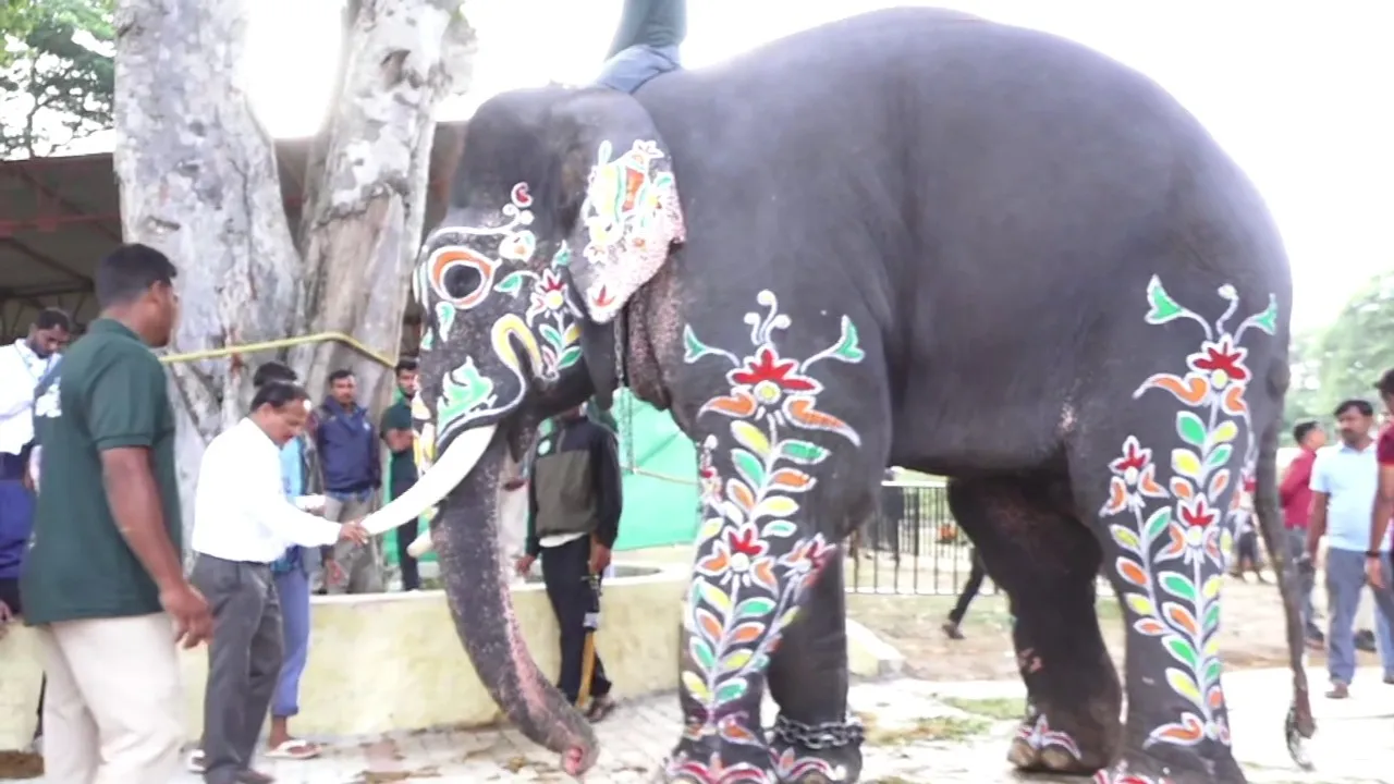 dasara elephants (1)