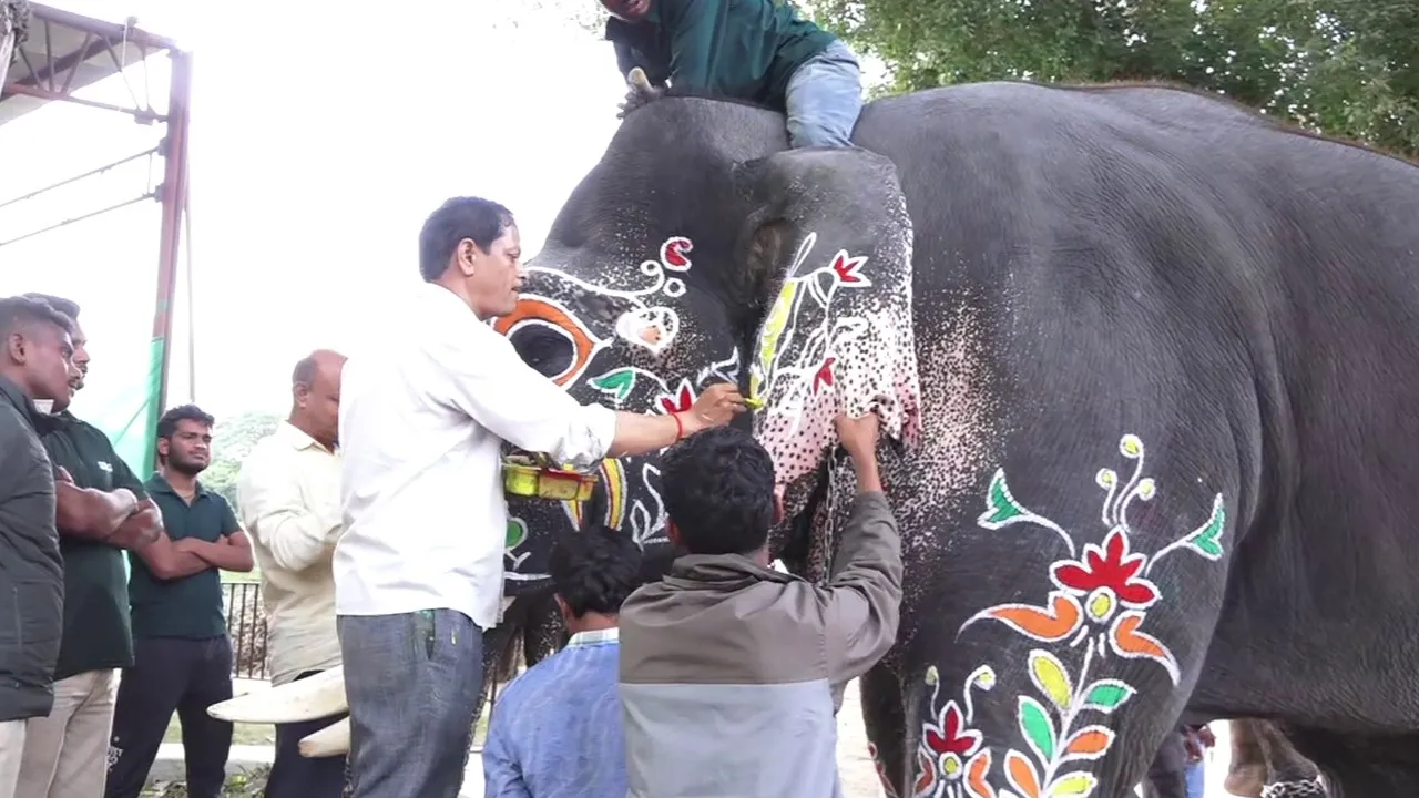 dasara elephants (3)