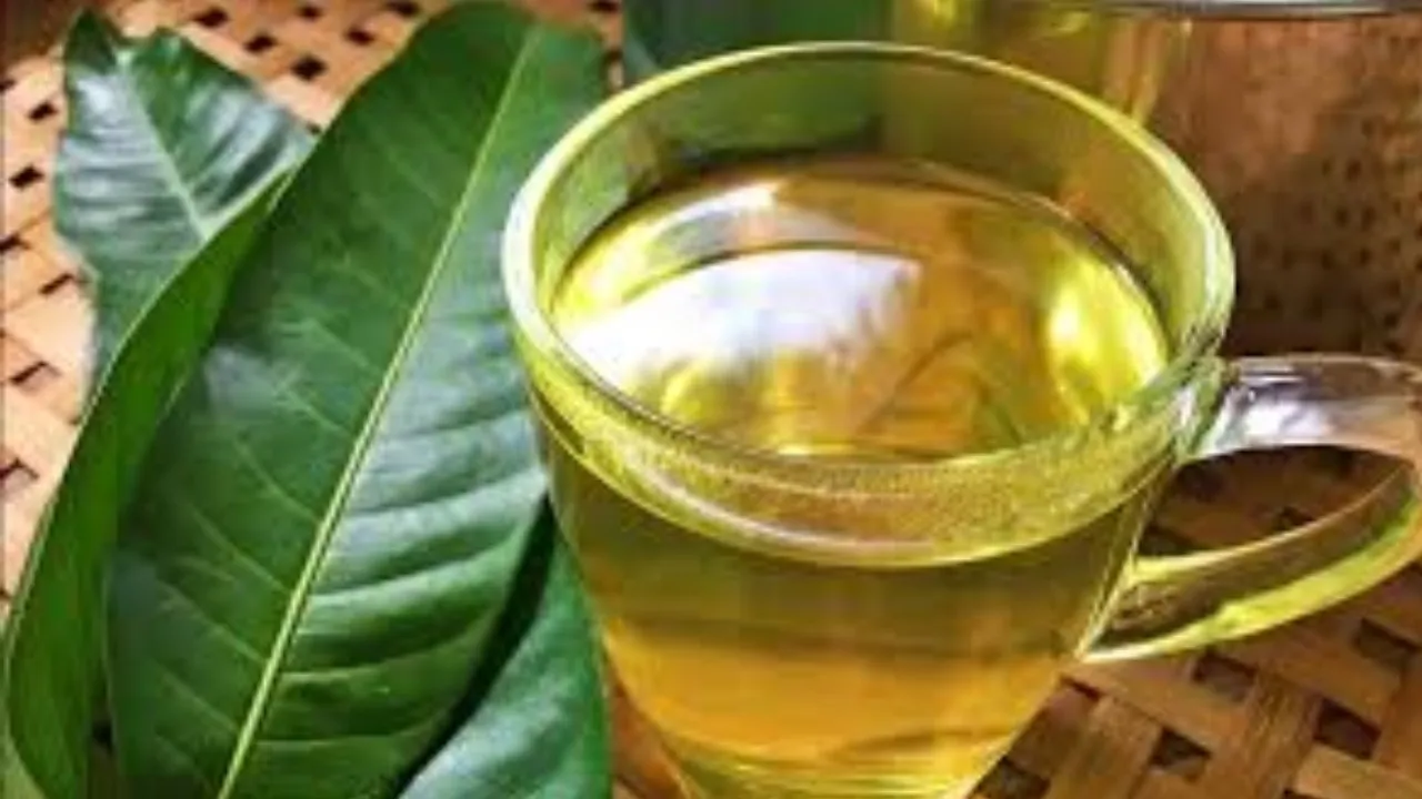 Mango_Leaf_1
