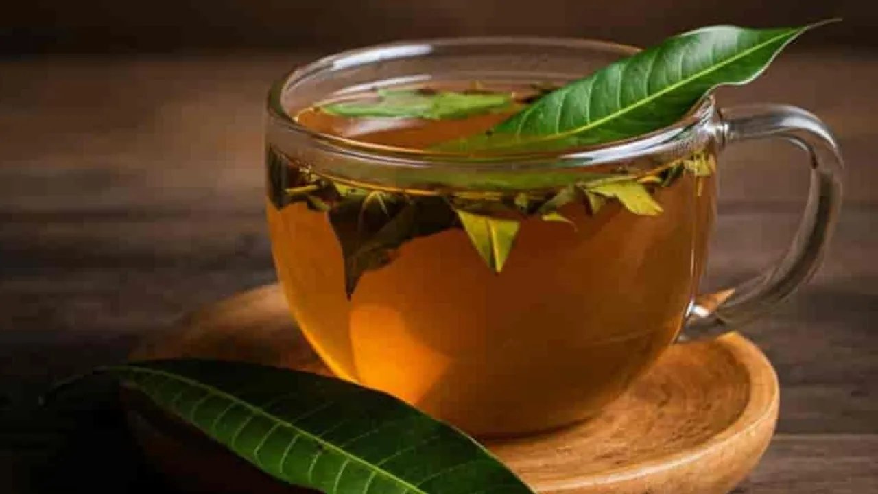 Mango_Leaf_Tea